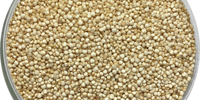 Quinoa
