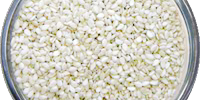 Sésamo blanco